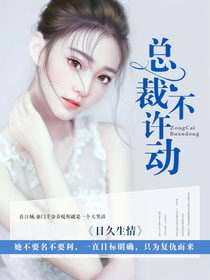 娘子合欢最新章节探索，热门网络小说的魅力与吸引力