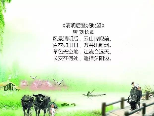 最新清明诵读，小巷深处的诗意传承